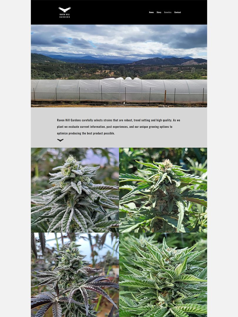 Raven Hill Gardens | Genetics